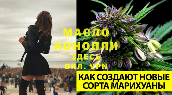 Альфа ПВП Арсеньев